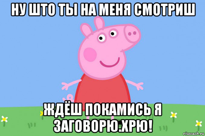 ну што ты на меня смотриш ждёш покамись я заговорю.хрю!