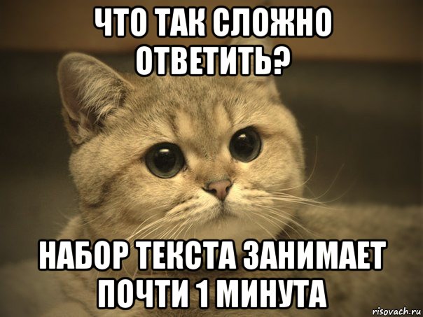 что так сложно ответить? набор текста занимает почти 1 минута, Мем Пидрила ебаная котик