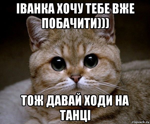 іванка хочу тебе вже побачити))) тож давай ходи на танці, Мем Пидрила Ебаная