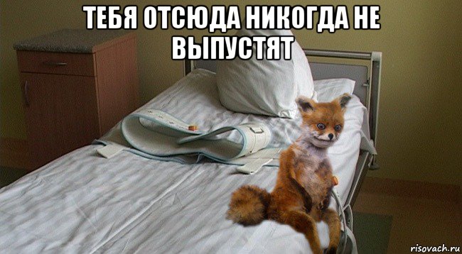 тебя отсюда никогда не выпустят 
