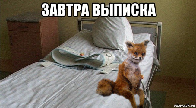 завтра выписка 