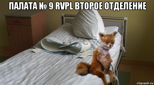 палата № 9 rvpl второе отделение 