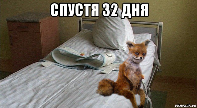 спустя 32 дня 