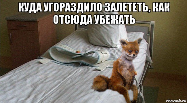 куда угораздило залететь, как отсюда убежать 