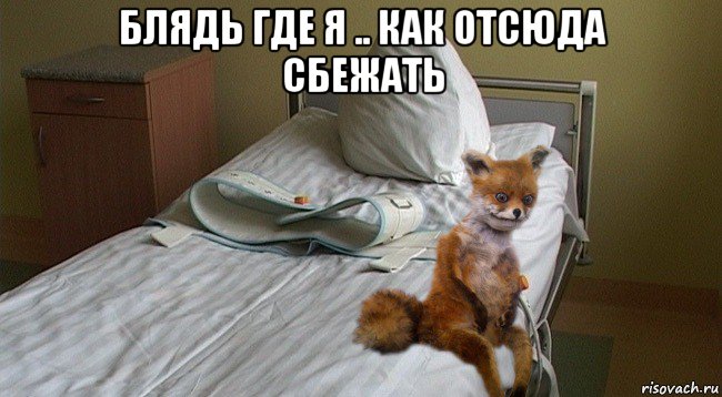 блядь где я .. как отсюда сбежать 