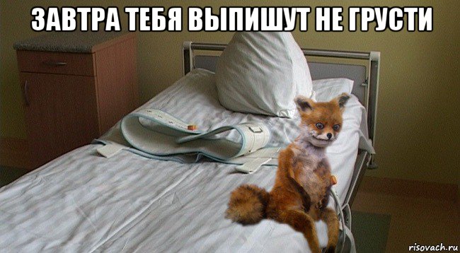 завтра тебя выпишут не грусти 
