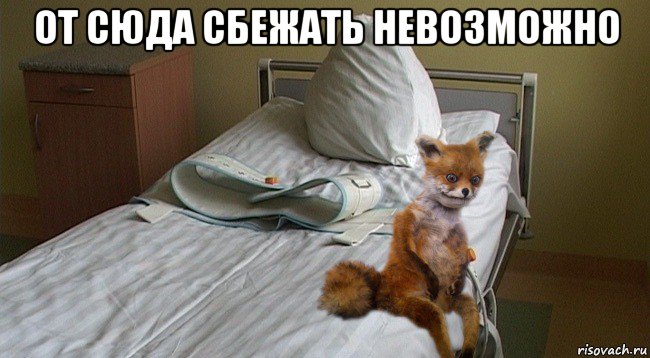 от сюда сбежать невозможно 