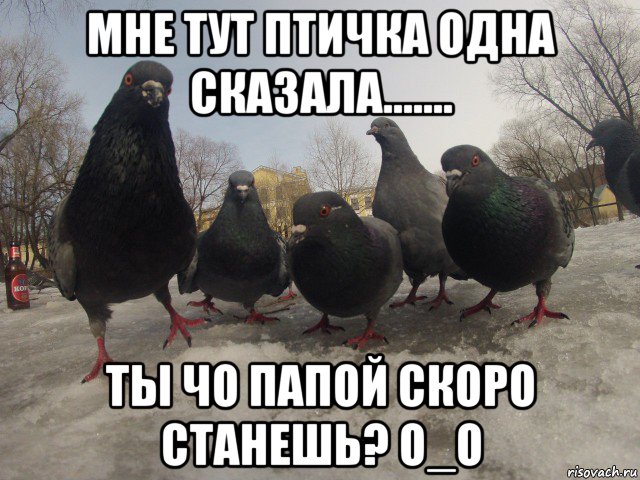мне тут птичка одна сказала....... ты чо папой скоро станешь? о_о