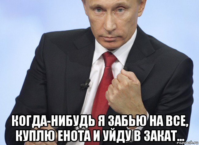  когда-нибудь я забью на все, куплю енота и уйду в закат..., Мем Путин показывает кулак