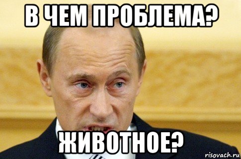 в чем проблема? животное?, Мем путин