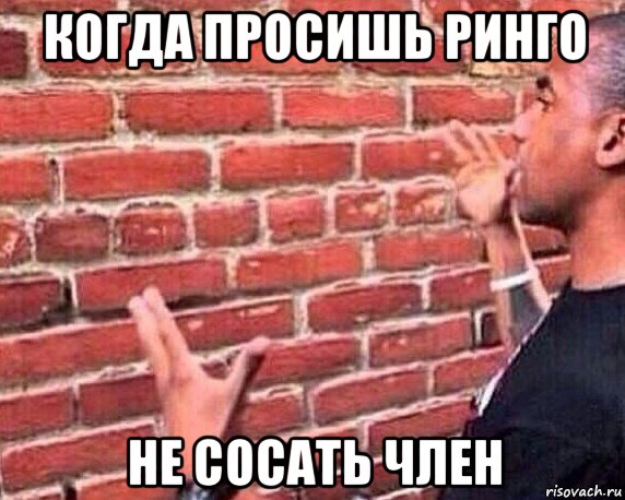 когда просишь ринго не сосать член, Мем разговор со стеной