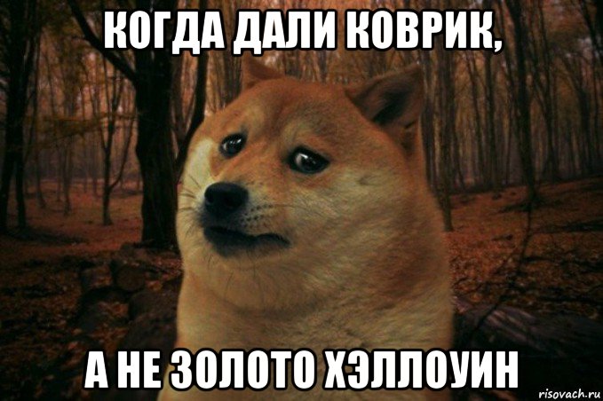 когда дали коврик, а не золото хэллоуин, Мем SAD DOGE