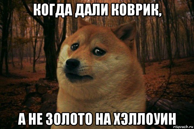 когда дали коврик, а не золото на хэллоуин, Мем SAD DOGE