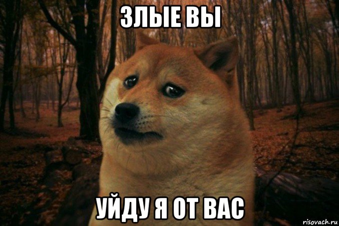 злые вы уйду я от вас, Мем SAD DOGE