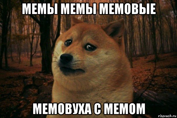 мемы мемы мемовые мемовуха с мемом, Мем SAD DOGE