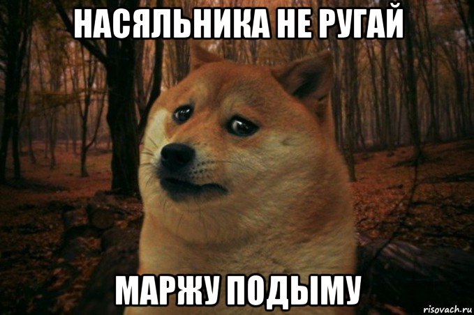 насяльника не ругай маржу подыму, Мем SAD DOGE