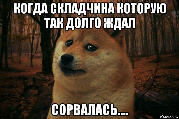 когда складчина которую так долго ждал сорвалась...., Мем SAD DOGE