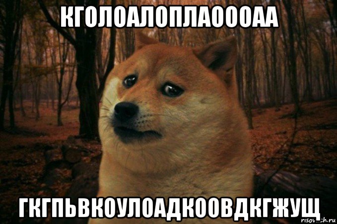 кголоалоплаоооаа гкгпьвкоулоадкоовдкгжущ, Мем SAD DOGE