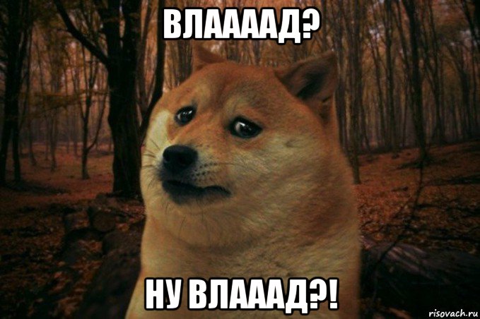 влаааад? ну влааад?!, Мем SAD DOGE