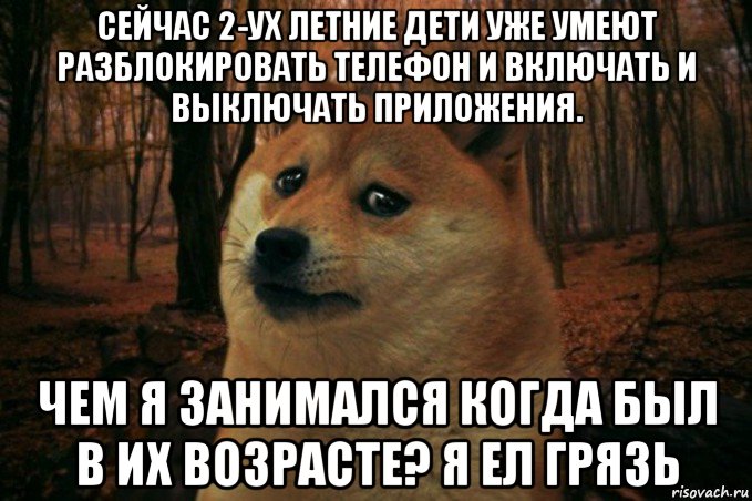 сейчас 2-ух летние дети уже умеют разблокировать телефон и включать и выключать приложения. чем я занимался когда был в их возрасте? я ел грязь, Мем SAD DOGE