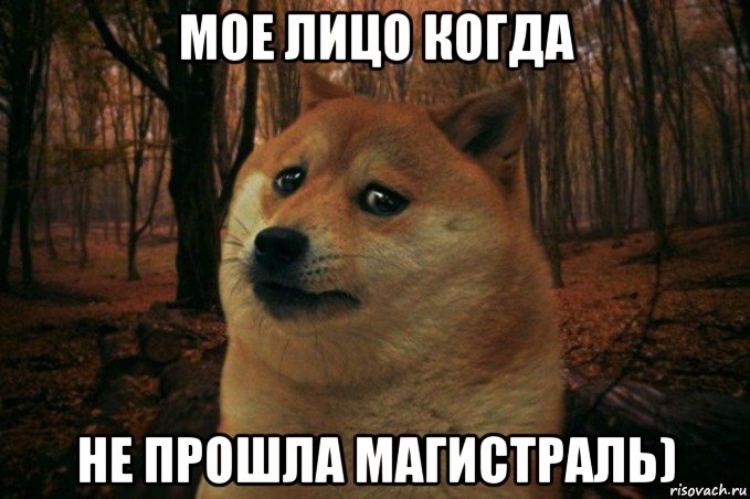 мое лицо когда не прошла магистраль), Мем SAD DOGE