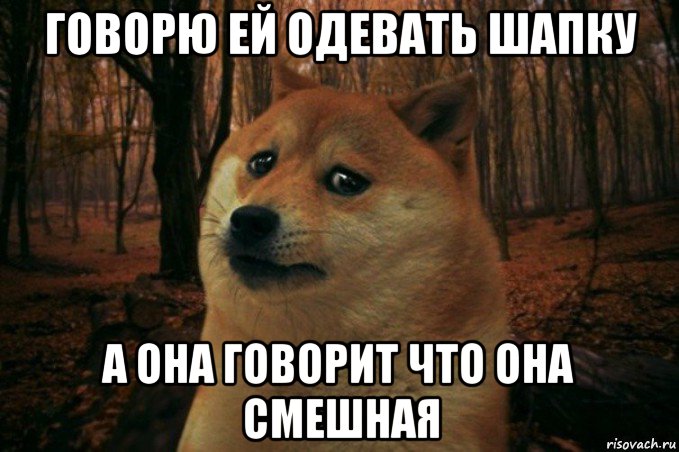 говорю ей одевать шапку а она говорит что она смешная, Мем SAD DOGE