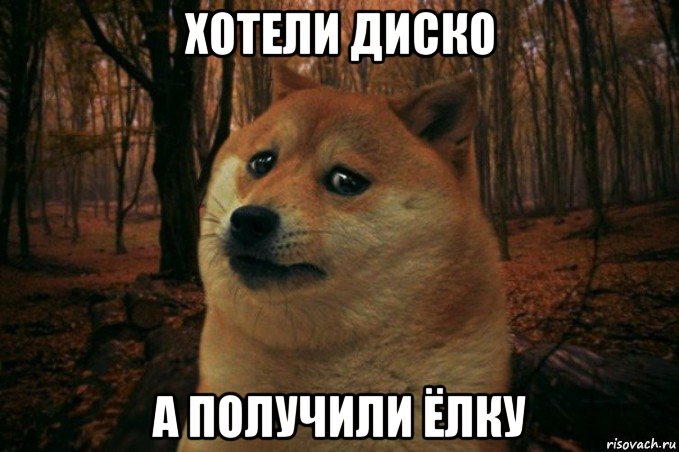 хотели диско а получили ёлку, Мем SAD DOGE