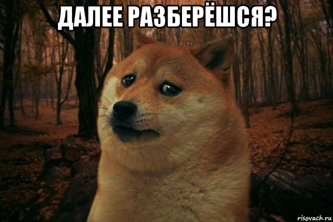 далее разберёшся? , Мем SAD DOGE