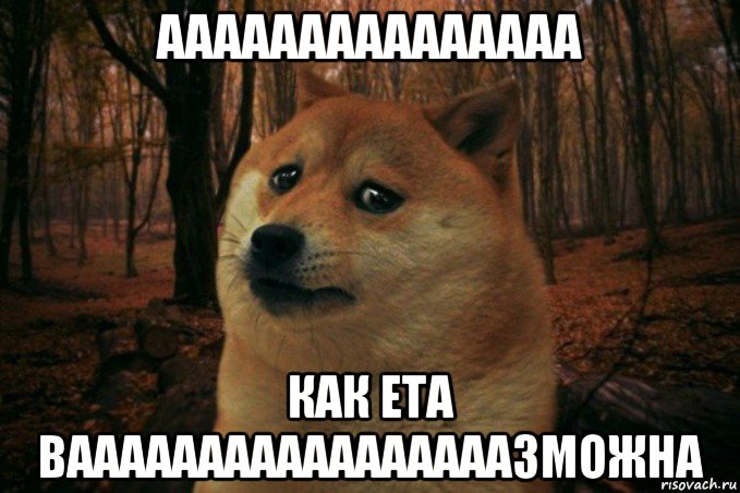 ааааааааааааааа как ета вааааааааааааааааазможна, Мем SAD DOGE