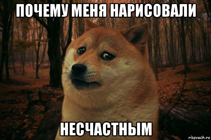 почему меня нарисовали несчастным, Мем SAD DOGE