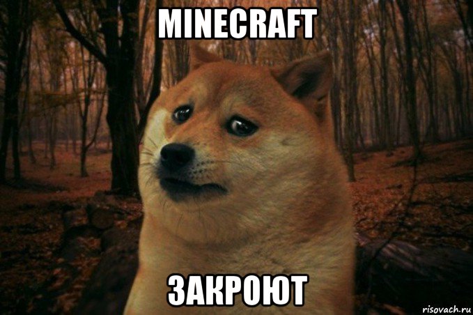 minecraft закроют, Мем SAD DOGE