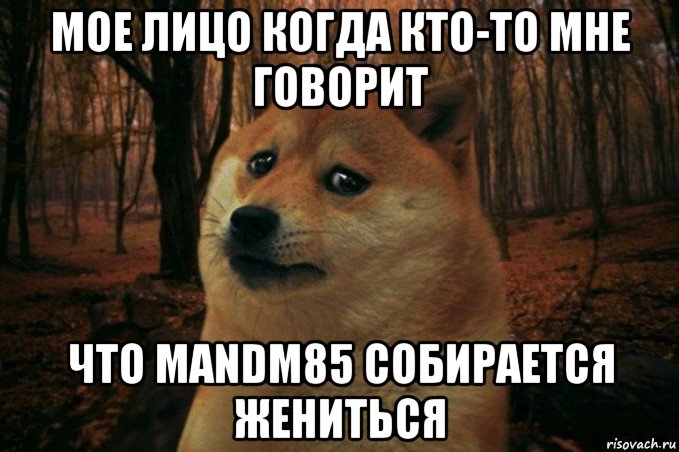 мое лицо когда кто-то мне говорит что mandm85 собирается жениться, Мем SAD DOGE