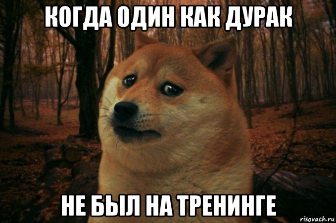 когда один как дурак не был на тренинге, Мем SAD DOGE