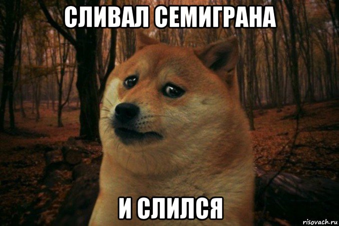 сливал семиграна и слился, Мем SAD DOGE