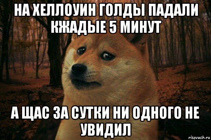 на хеллоуин голды падали кжадые 5 минут а щас за сутки ни одного не увидил, Мем SAD DOGE