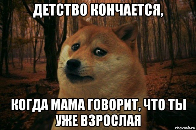 детство кончается, когда мама говорит, что ты уже взрослая, Мем SAD DOGE