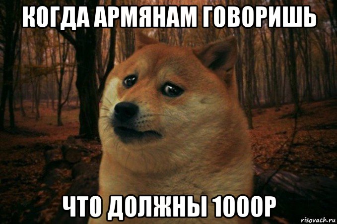 когда армянам говоришь что должны 1000р, Мем SAD DOGE