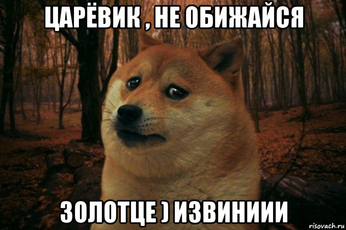 царёвик , не обижайся золотце ) извиниии, Мем SAD DOGE