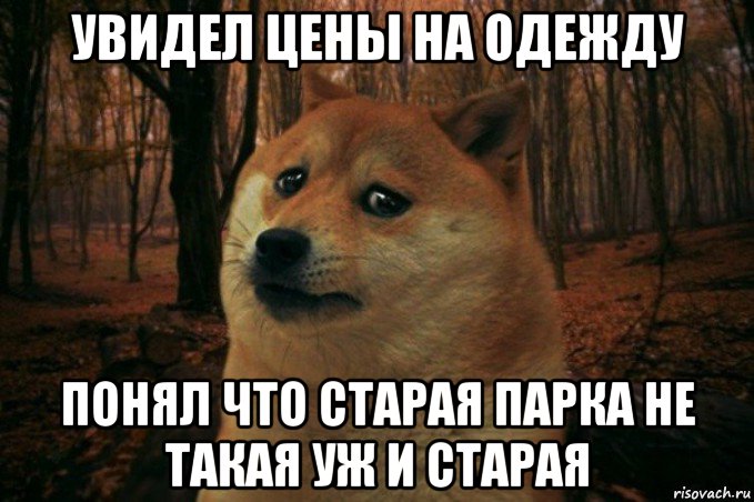 увидел цены на одежду понял что старая парка не такая уж и старая, Мем SAD DOGE