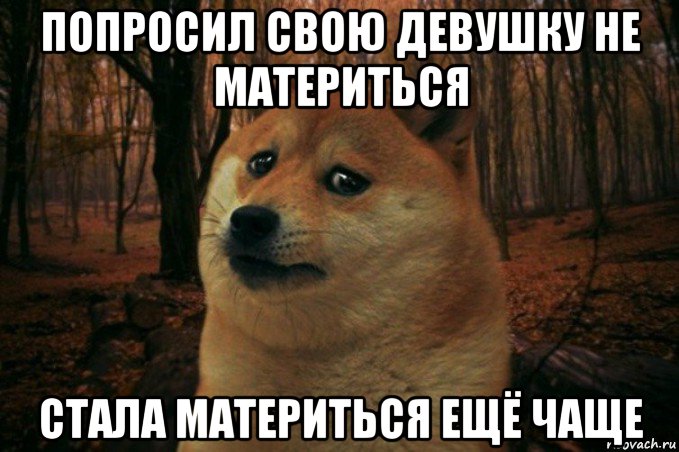 попросил свою девушку не материться стала материться ещё чаще, Мем SAD DOGE