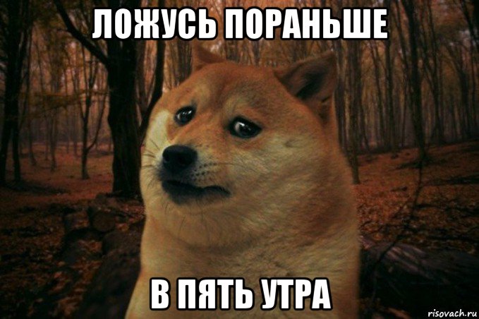 ложусь пораньше в пять утра, Мем SAD DOGE