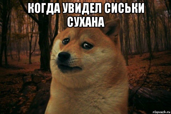 когда увидел сиськи сухана , Мем SAD DOGE