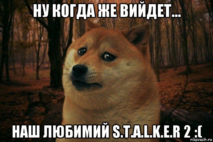 ну когда же вийдет... наш любимий s.t.a.l.k.e.r 2 :(, Мем SAD DOGE