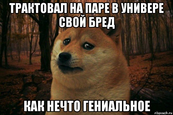 трактовал на паре в универе свой бред как нечто гениальное, Мем SAD DOGE