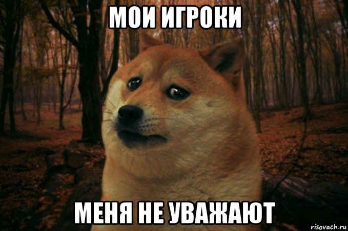 мои игроки меня не уважают, Мем SAD DOGE