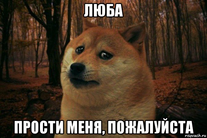 люба прости меня, пожалуйста, Мем SAD DOGE