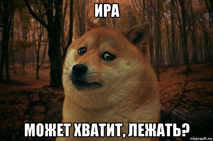 ира может хватит, лежать?, Мем SAD DOGE