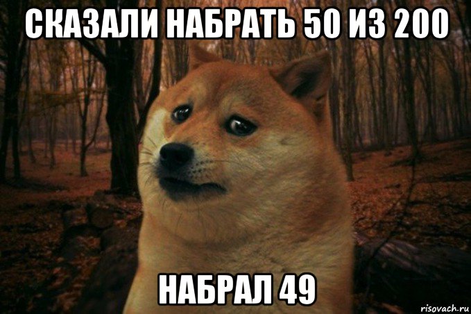 сказали набрать 50 из 200 набрал 49, Мем SAD DOGE