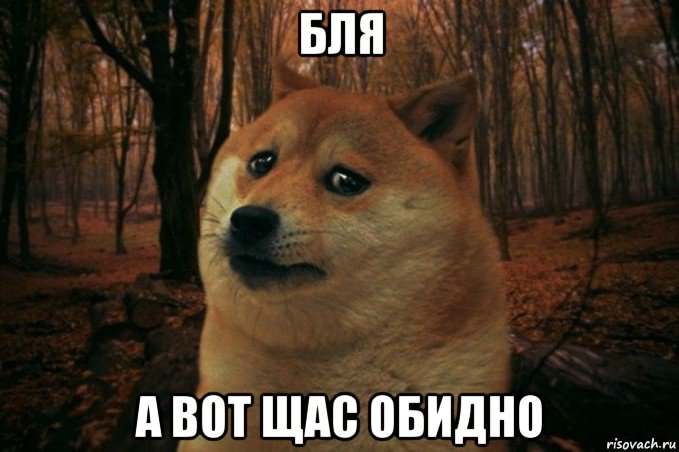 бля а вот щас обидно, Мем SAD DOGE