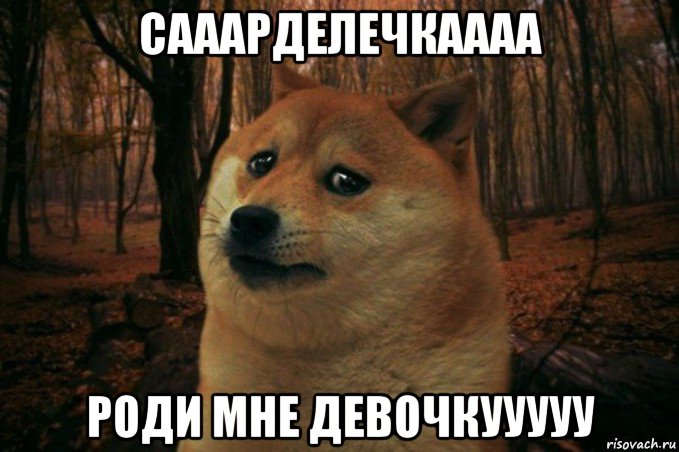 сааарделечкаааа роди мне девочкууууу, Мем SAD DOGE